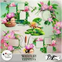 Waterlily - Clusters by Pat Scrap