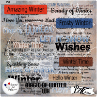 Magic of Winter - WA by Pat Scrap (PU)