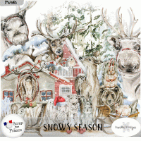 Snowy season by VanillaM Designs