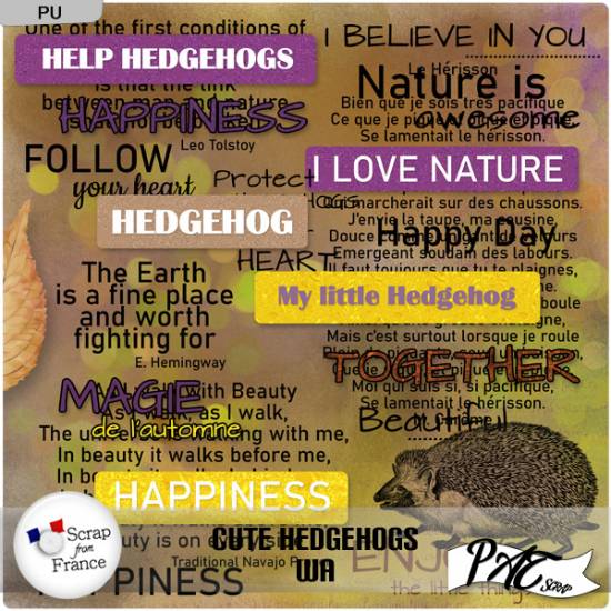 Cute Hedgehogs - WA by Pat Scrap (PU)