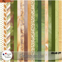 Champignons - Collab SFF