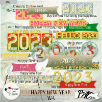 Happy New Year 2023 - WA by Pat Scrap
