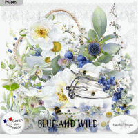 Blue and wild by VanillaM Designs