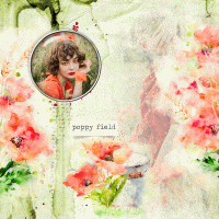 Poppy field by VanillaM Designs