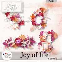 Joy of life clusters by Jessica art-design