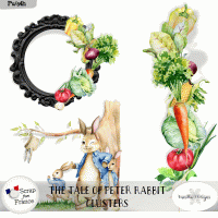 The tale of Peter Rabbit by VanillaM Designs