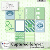 'captured forever' journalingcards by Jessica art-design