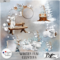 Winter Fun - Clusters by Pat Scrap