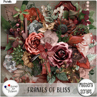 Frames of Bliss Kit by Mystery Scraps