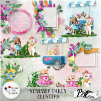 Summer Party - Clusters by Pat Scrap