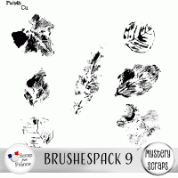 Brushespack 9 CU/PU by Mystery Scraps
