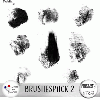 Brushespack 2 CU/PU by Mystery Scraps