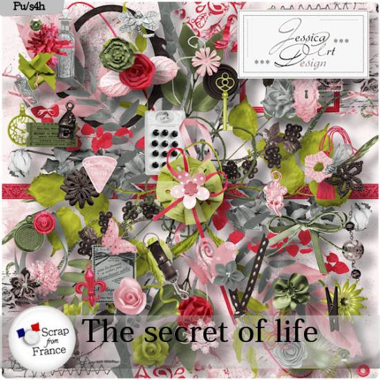 The secret of life by Jessica art-design
