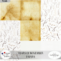 Tears of November by VanillaM Designs