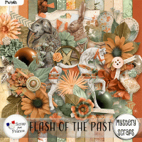 Flash of the Past kit by Mystery Scraps