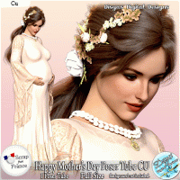 HAPPY MOTHERS DAY POSER TUBE PACK CU by Disyas