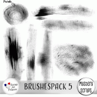Brushespack 5 CU/PU by Mystery Scraps