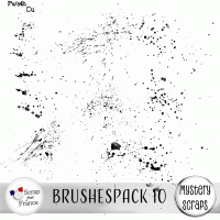 Brushespack 10 CU/PU by Mystery Scraps
