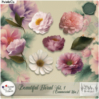 CU Beautiful Floral Vol.01 by AADesigns