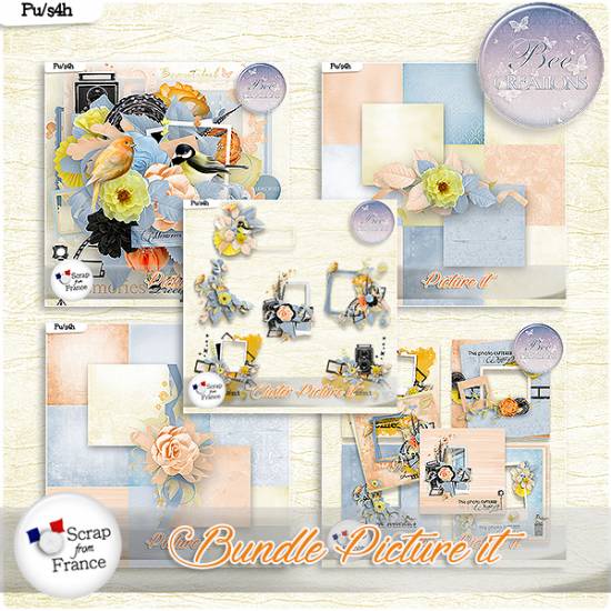 Picture it Bundle (PU/S4H) by Bee Creation