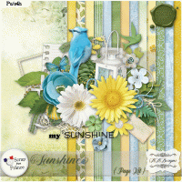 Sunshine Bundle by AADesigns
