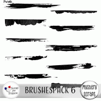 Brushespack 6 CU/PU by Mystery Scraps