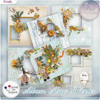 Almost Winter Album (PU/S4H) by Bee Creation