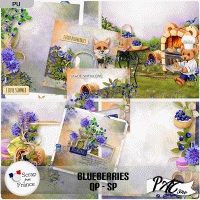 Blueberries - QP- SP by Pat Scrap (PU)
