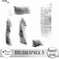 Brushespack 3 CU/PU by Mystery Scraps