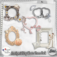OUR SPECIAL DAY CLUSTER FRAME PACK - FULL SIZE