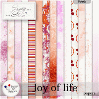 Joy of life paperpack by Jessica art-design