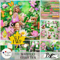Waterlily - Collection by Pat Scrap