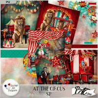 At the Circus - SP by Pat Scrap