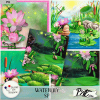 Waterlily - SP by Pat Scrap