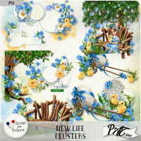 New Life - Clusters by Pat Scrap