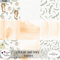 Sugar and spice by VanillaM Designs