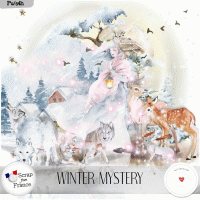 Winter mystery by VanillaM Designs