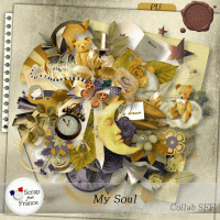 My Soul - Album my Pliscrap