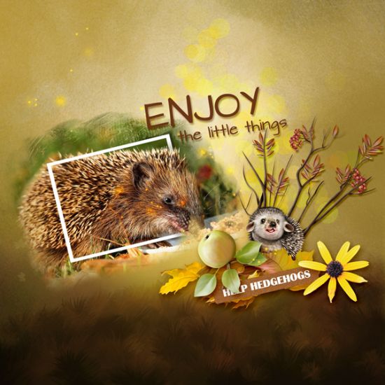 Cute Hedgehogs - Mini-Kit by Pat Scrap (PU) - Click Image to Close