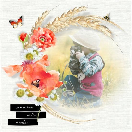 Somewhere in the meadow by VanillaM Designs - Click Image to Close