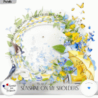 Sunshine on my shoulders by VanillaM Designs