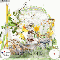 Golden spring by Vanillam Designs