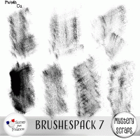 Brushespack 7 CU/PU by Mystery Scraps