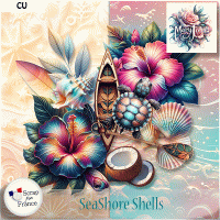 Seashore Shells CU pack by MaryJohn