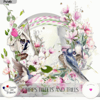 Chirps tweets and trills by VanillaM Designs