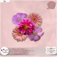 Pink Flowers (CU) by AADesigns
