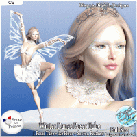 WINTER DANCE POSER TUBE PACK CU - FS by Disyas