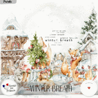 Winter breath by VanillaM Designs
