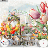 Tulip serenade by VanillaM Designs