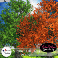 Summer Fall Season Trees by EW